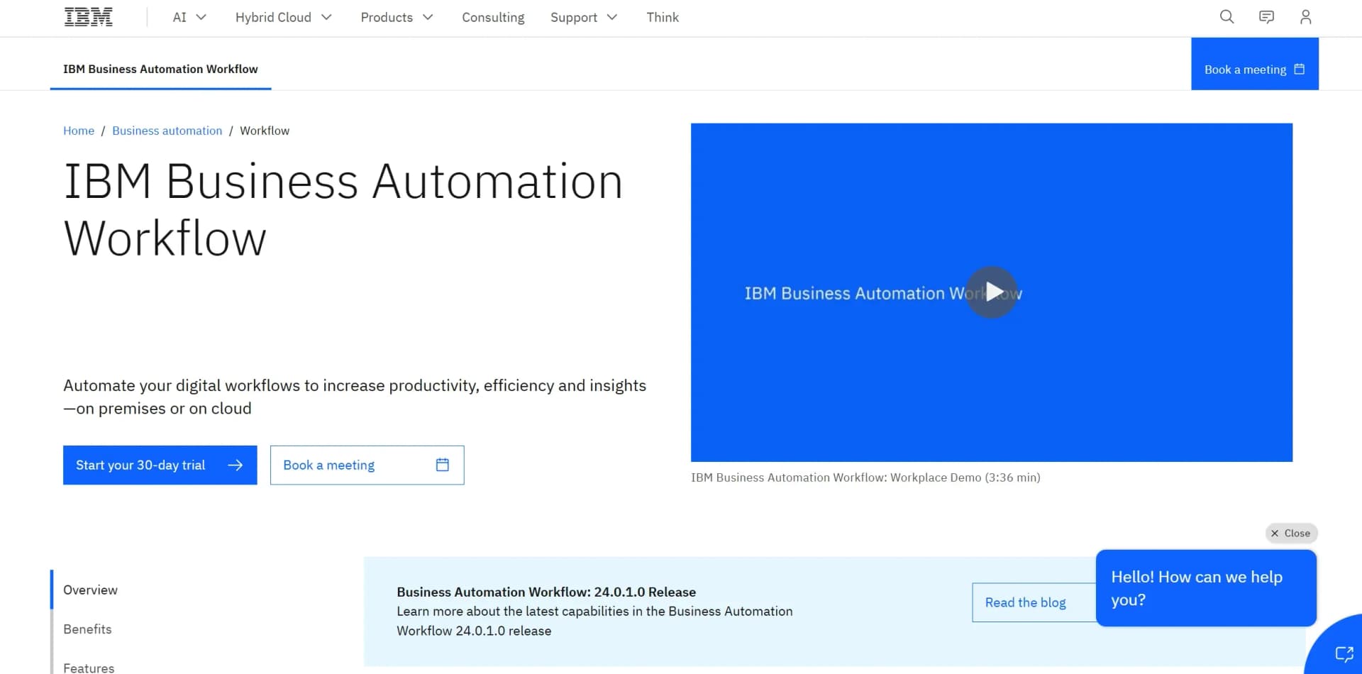 IBM BPM screenshot