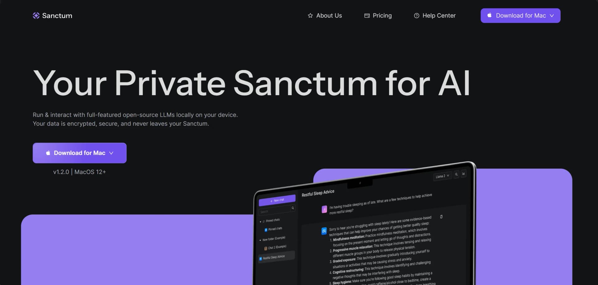 Sanctum AI screenshot